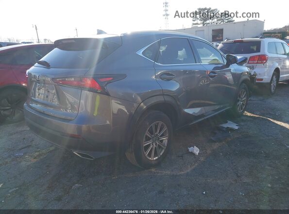 JTJDARBZ9M2194808 2021 LEXUS NX 300 Gray Rear right