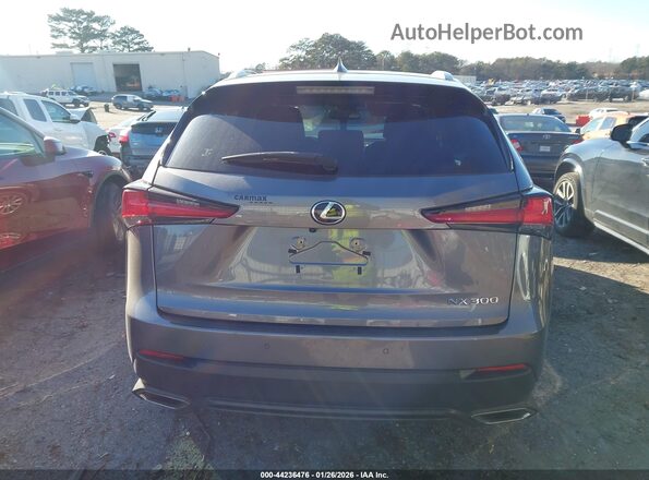 JTJDARBZ9M2194808 2021 LEXUS NX 300 Gray 