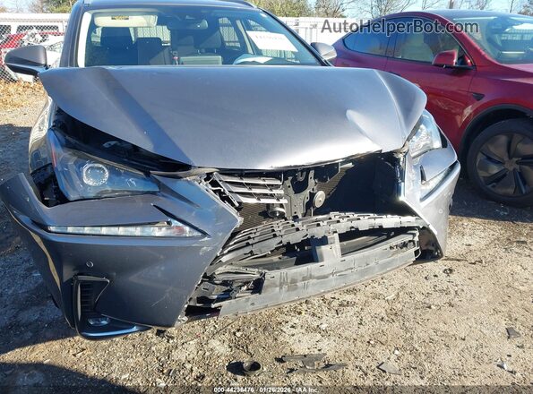 JTJDARBZ9M2194808 2021 LEXUS NX 300 Gray Front view