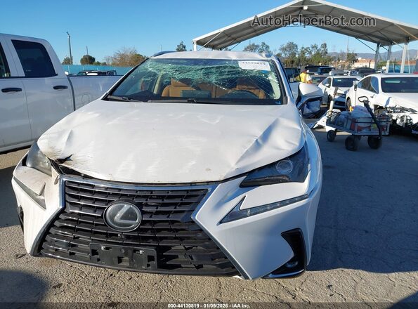 JTJDARBZ9M5023961 2021 LEXUS NX 300 White Widok z przodu