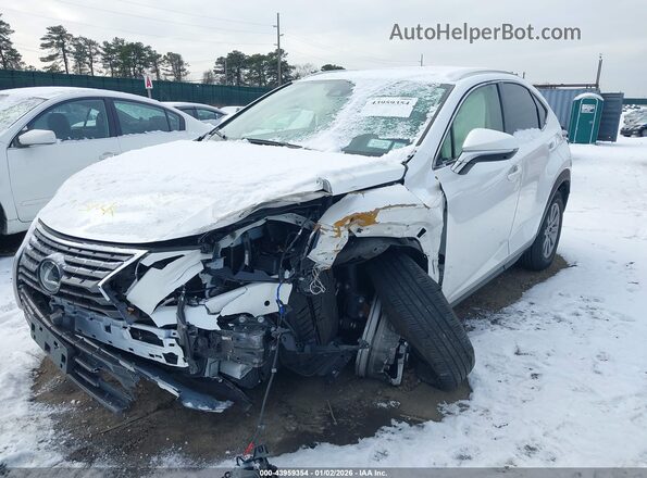 JTJDARDZ1M5025751 2021 LEXUS NX 300 White Widok z przodu