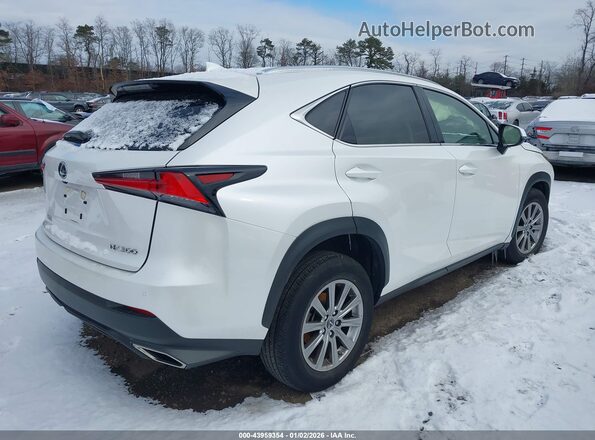 JTJDARDZ1M5025751 2021 LEXUS NX 300 White Tył prawy