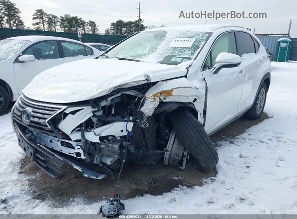 JTJDARDZ1M5025751 2021 LEXUS NX 300 White Przód lewy