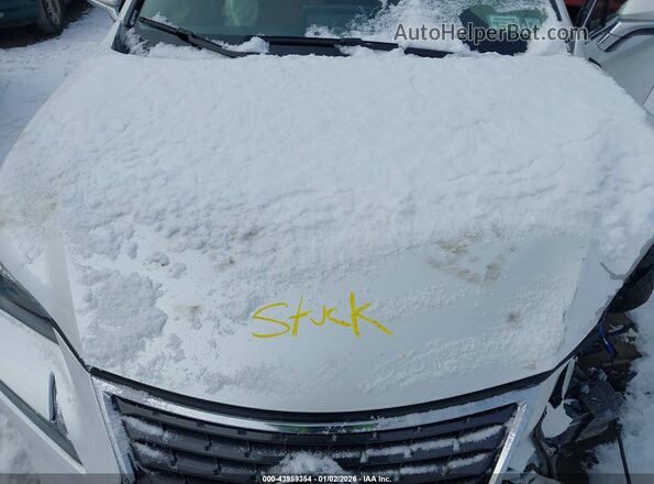 JTJDARDZ1M5025751 2021 LEXUS NX 300 White Widok z tyłu