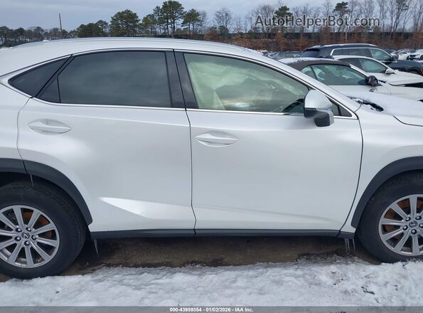 JTJDARDZ1M5025751 2021 LEXUS NX 300 White Widok wnętrza z tyłu