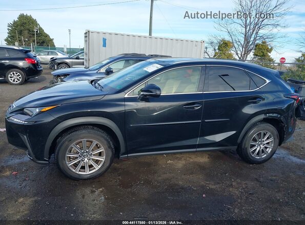 JTJDARDZ3M2255339 2021 LEXUS NX 300 Black 