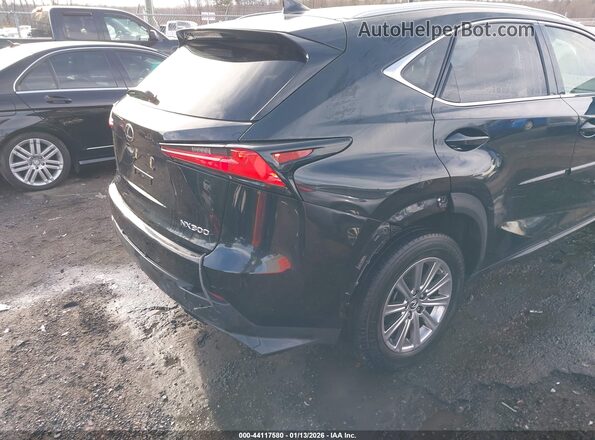 JTJDARDZ3M2255339 2021 LEXUS NX 300 Black 
