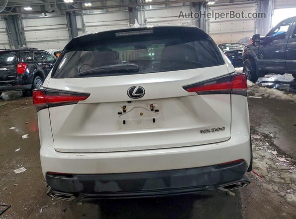 JTJDARDZ4L2232652 2020 LEXUS NX White 