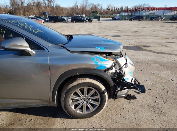 JTJDARDZ4M2240901 2021 LEXUS NX 300 Gray 
