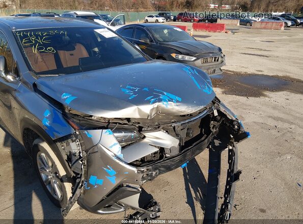 JTJDARDZ4M2240901 2021 LEXUS NX 300 Gray 