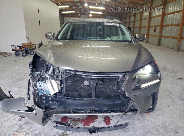 JTJDARDZ4M2260453 2021 LEXUS NX Gray Widok z przodu
