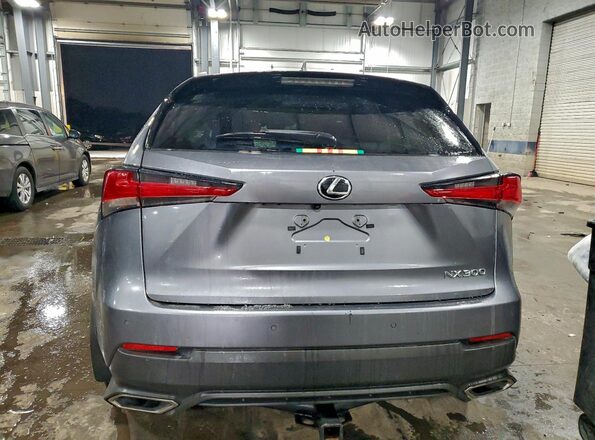 JTJDARDZ6L2224374 2020 LEXUS NX Gray Widok z tyłu