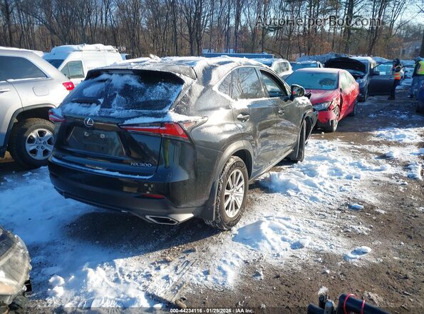 JTJDARDZ6L5010354 2020 LEXUS NX 300 Black Задня права чверть