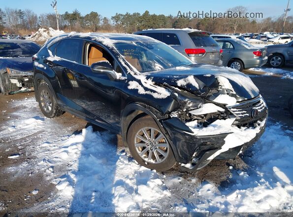 JTJDARDZ6L5010354 2020 LEXUS NX 300 Black Вид спереду
