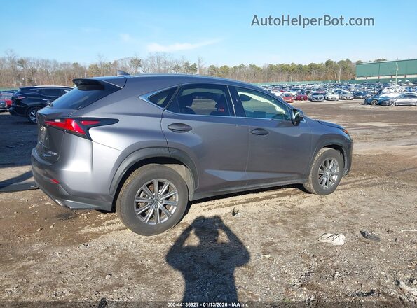 JTJDARDZ6M2241743 2021 LEXUS NX 300 Gray Задня права чверть
