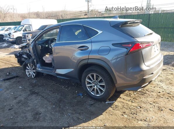 JTJDARDZ6M2241743 2021 LEXUS NX 300 Gray Задня ліва чверть