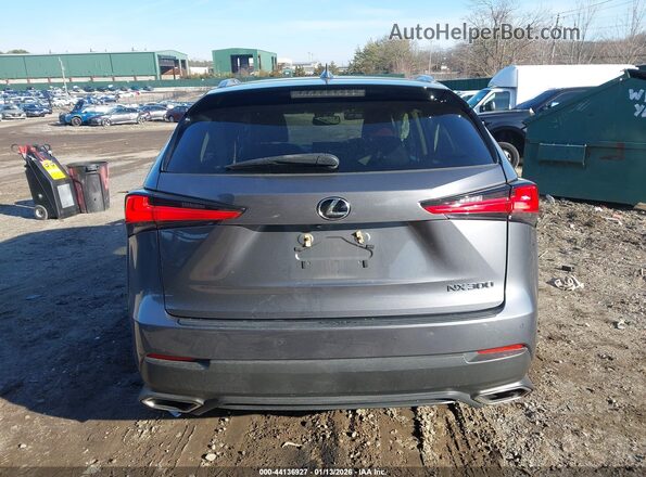 JTJDARDZ6M2241743 2021 LEXUS NX 300 Gray 