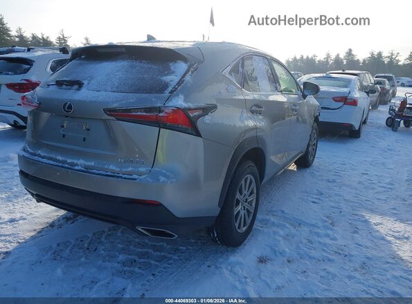 JTJDARDZ7M2237782 2021 LEXUS NX 300 Gray Trasero derecho