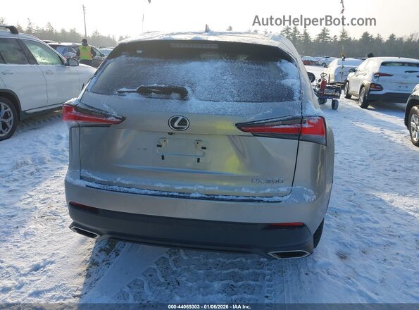 JTJDARDZ7M2237782 2021 LEXUS NX 300 Gray 