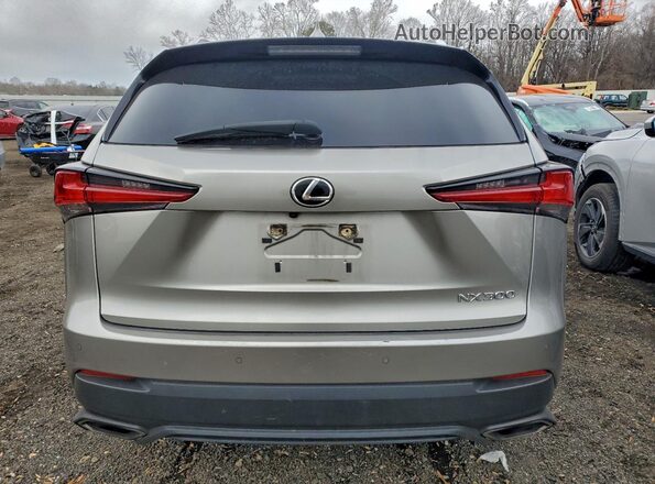 JTJDARDZ8L5005673 2020 LEXUS NX Gray უკანა ხედი