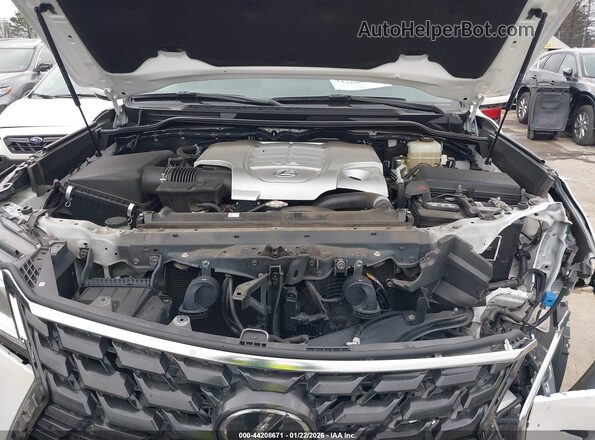 JTJDY7AX7M4340515 2021 LEXUS LX 570 Белый Вид сзади