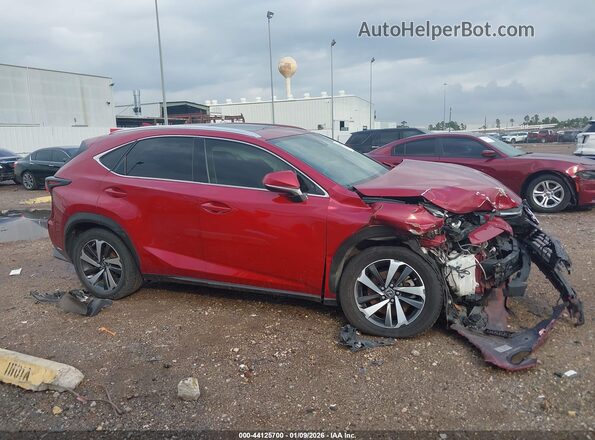 JTJGARBZ0L2158968 2020 LEXUS NX 300 Red 