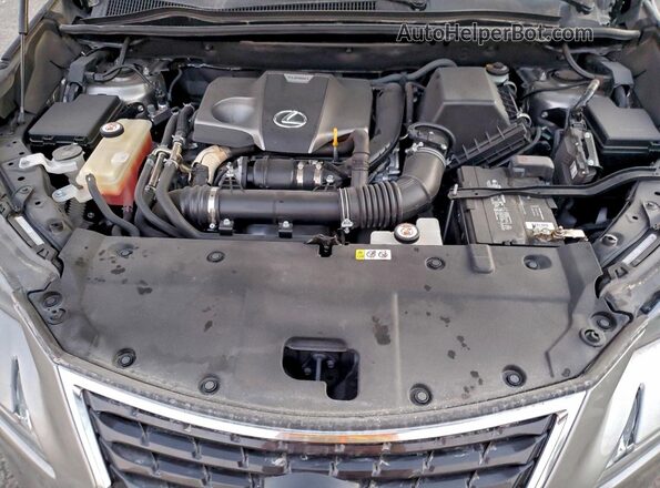 JTJGARBZ7L5004210 2020 LEXUS NX Silver Շարժիչի բաժամունքի տեսք