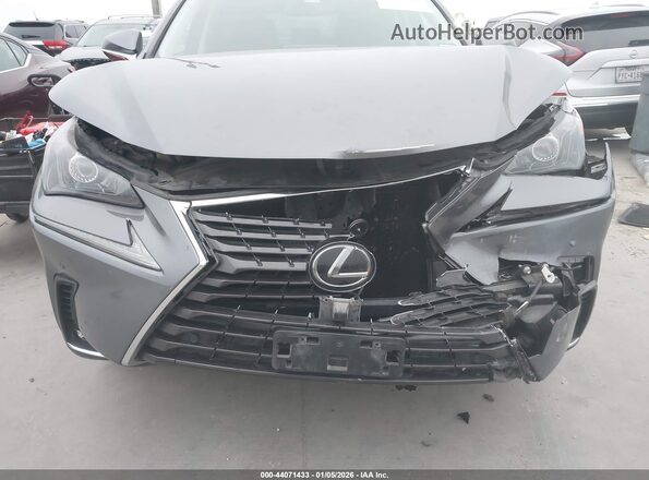JTJGARDZ2M2237749 2021 LEXUS NX 300 Gray წინა ხედი