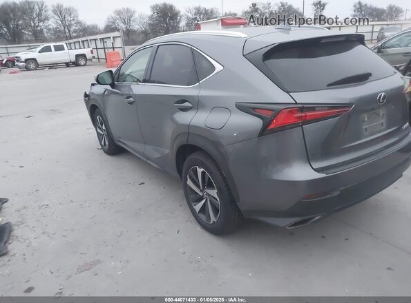 JTJGARDZ2M2237749 2021 LEXUS NX 300 Gray უკანა მარცხენა