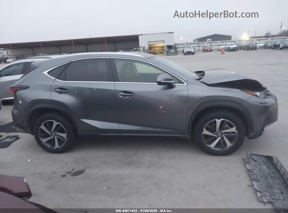 JTJGARDZ2M2237749 2021 LEXUS NX 300 Gray უკანა სალონის ხედი