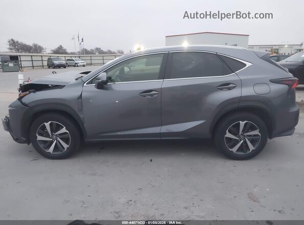 JTJGARDZ2M2237749 2021 LEXUS NX 300 Gray სალონის 360-გრადუსიანი ხედი