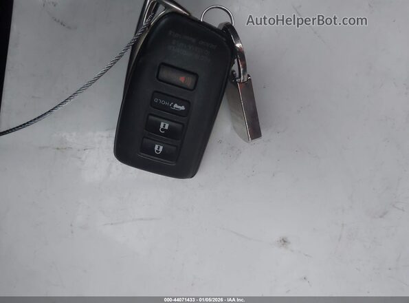 JTJGARDZ2M2237749 2021 LEXUS NX 300 Gray წინა პანელის ხედი