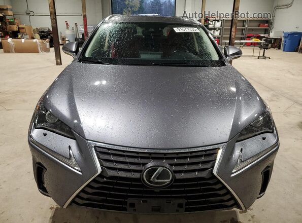 JTJGARDZ5M2236319 2021 LEXUS NX Charcoal 