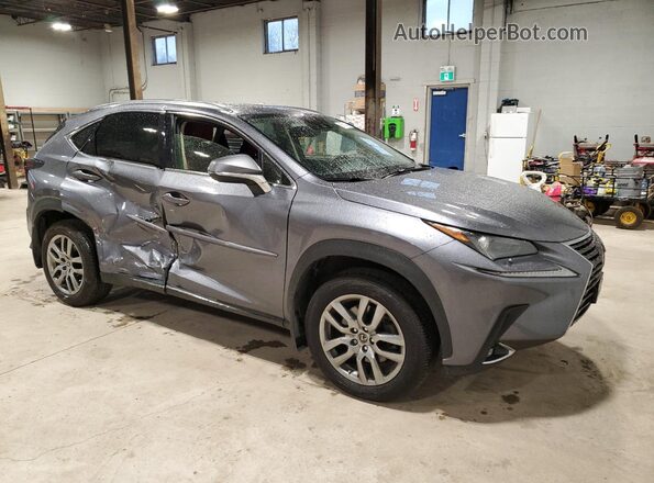 JTJGARDZ5M2236319 2021 LEXUS NX Charcoal 