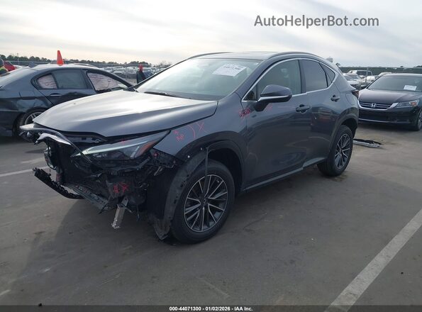 JTJGDCAZ0P2006328 2023 LEXUS NX 250 Gray Vista tres cuartos delantera izquierda