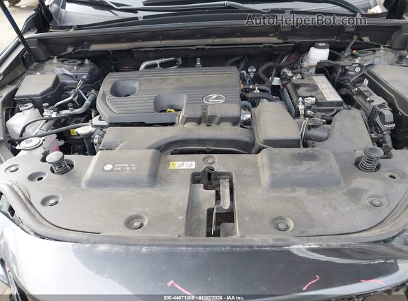 JTJGDCAZ0P2006328 2023 LEXUS NX 250 Gray Vista trasera
