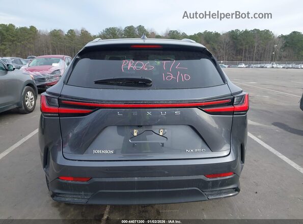 JTJGDCAZ0P2006328 2023 LEXUS NX 250 Gray 