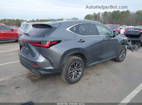 JTJGDCAZ0P2006328 2023 LEXUS NX 250 Gray Trasero derecho