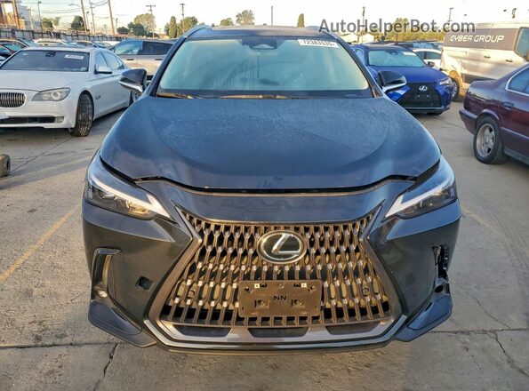 JTJGGCEZ0N2004819 2022 LEXUS NX Charcoal Vista trasera