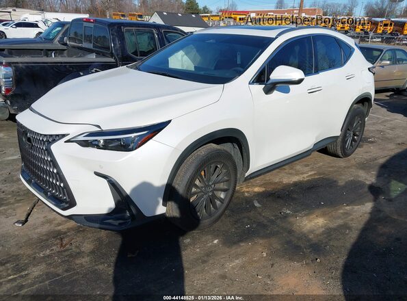 JTJGGCEZ5S2019330 2025 LEXUS NX 350 White Передня ліва чверть