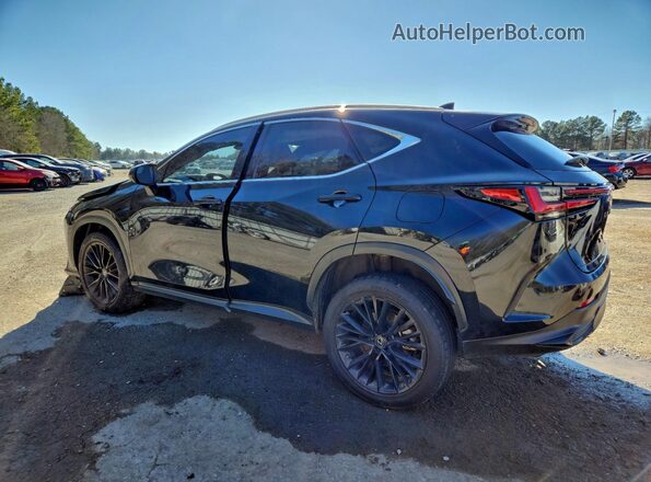 JTJGGCEZ8N2004003 2022 LEXUS NX Black Задня ліва чверть
