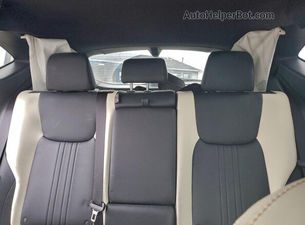 JTJGKCEZ0P5008451 2023 LEXUS NX Black Vista de los asientos traseros