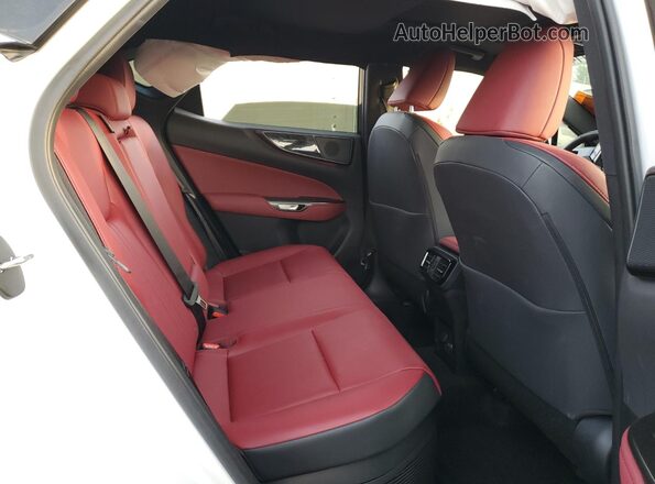 JTJGKCEZ1S5030709 2025 LEXUS NX White 