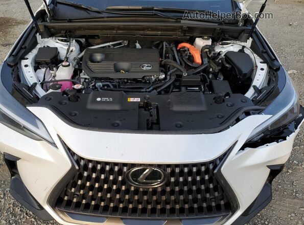 JTJGKCEZ1S5030709 2025 LEXUS NX White 