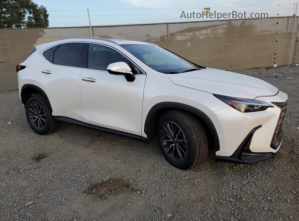 JTJGKCEZ1S5030709 2025 LEXUS NX White 