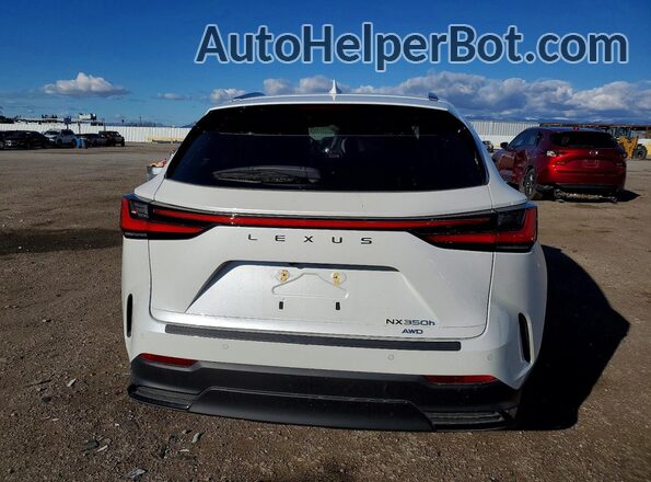 JTJGKCEZ5S2040743 2025 LEXUS NX White Widok z tyłu