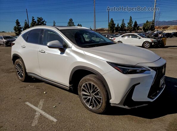 JTJGKCEZ7R5018185 2024 LEXUS NX White 