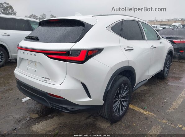 JTJGKCEZ9P2014668 2023 LEXUS NX 350H White Հետևի աջ