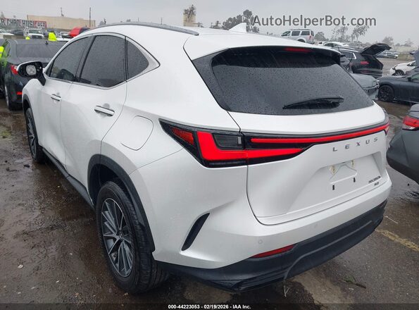 JTJGKCEZ9P2014668 2023 LEXUS NX 350H White Հետևի ձախ
