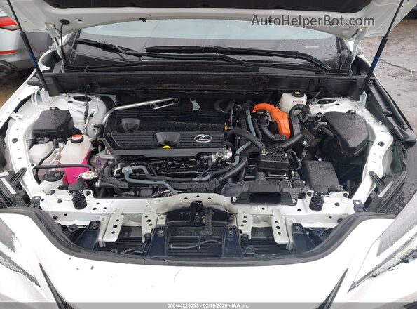 JTJGKCEZ9P2014668 2023 LEXUS NX 350H White Հետևի տեսք